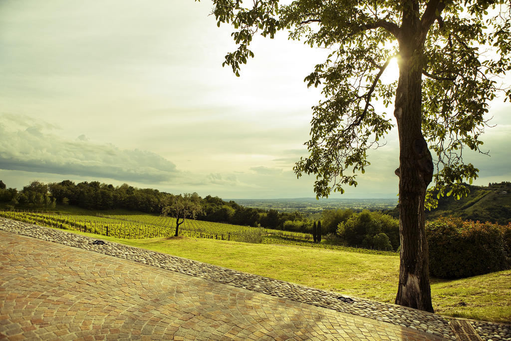 Agriturismo L'Uva E Le Stelle Faedis Exterior foto